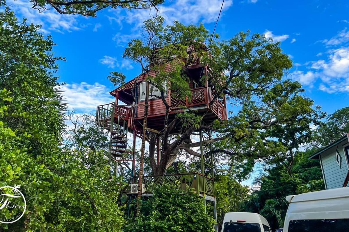 A treehouse structure built into a large tree, featuring multiple levels and platforms.