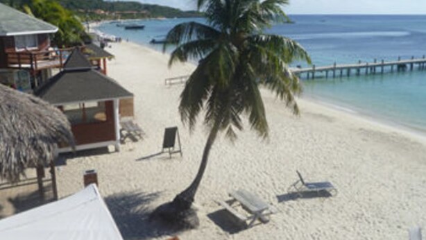 Ett hotell vid stranden med en byggnad som har ett tak av halmtak, ett palmträd och en brygga som sträcker sig ut i havet.