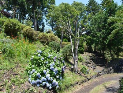 LiVEMAX RESORT Izu-kogen