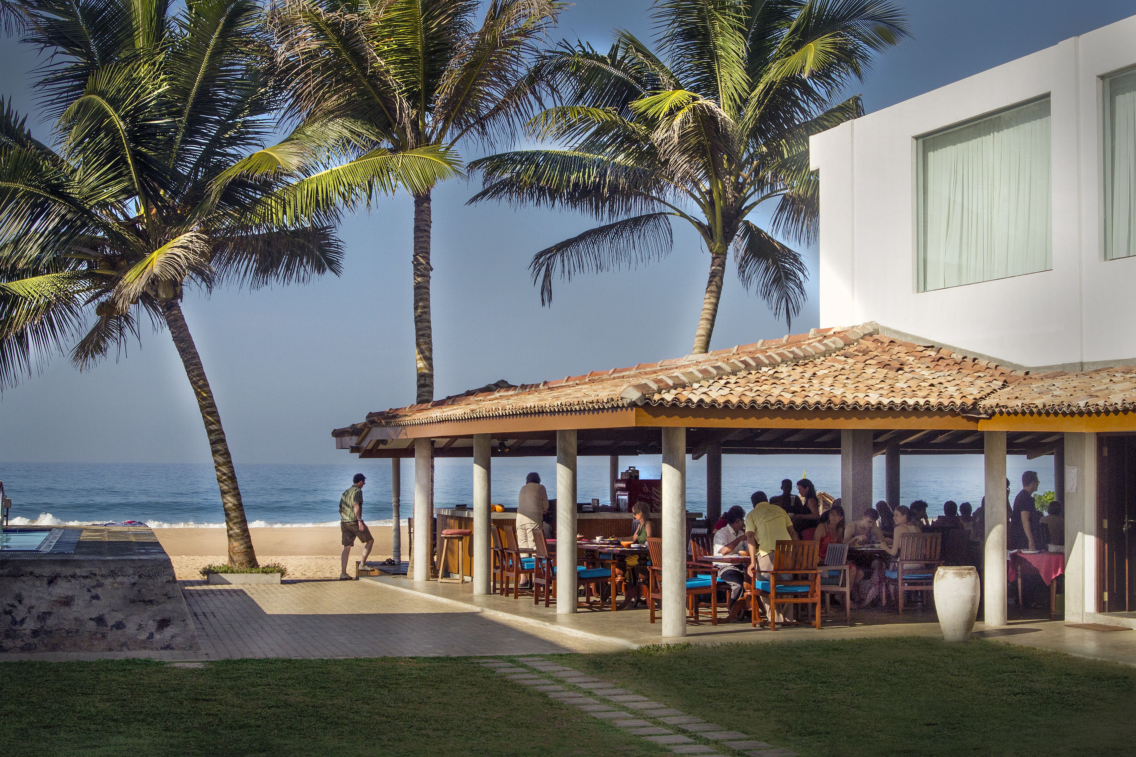 A beachside restaurant with outdoor seating, palm trees, and a view of the ocean.