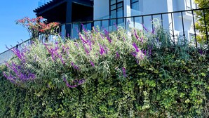 Una casa moderna de dos pisos con un balcón, ventanas amplias y un jardín bien cuidado con flores moradas.