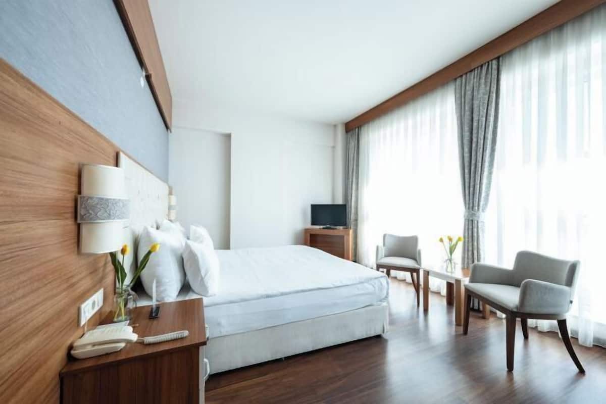 1 makuuhuone, minibaari, tallelokero huoneessa, työpöytä