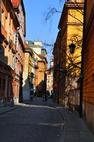 Una calle empedrada flanqueada por edificios históricos, una estatua y un cielo azul despejado.