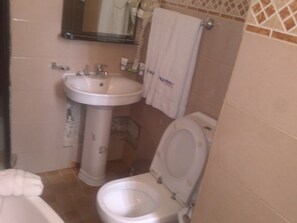 Combined shower/bathtub, free toiletries, hair dryer, towels