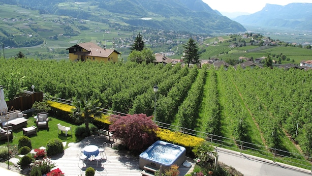 A vineyard with rows of grapevines, a wooden deck with outdoor furniture, and a hot tub. - Hotel Karin (Tirolo)