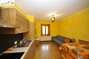 Standard Apartment, 2 Bedrooms, Kitchen | Private kitchenette