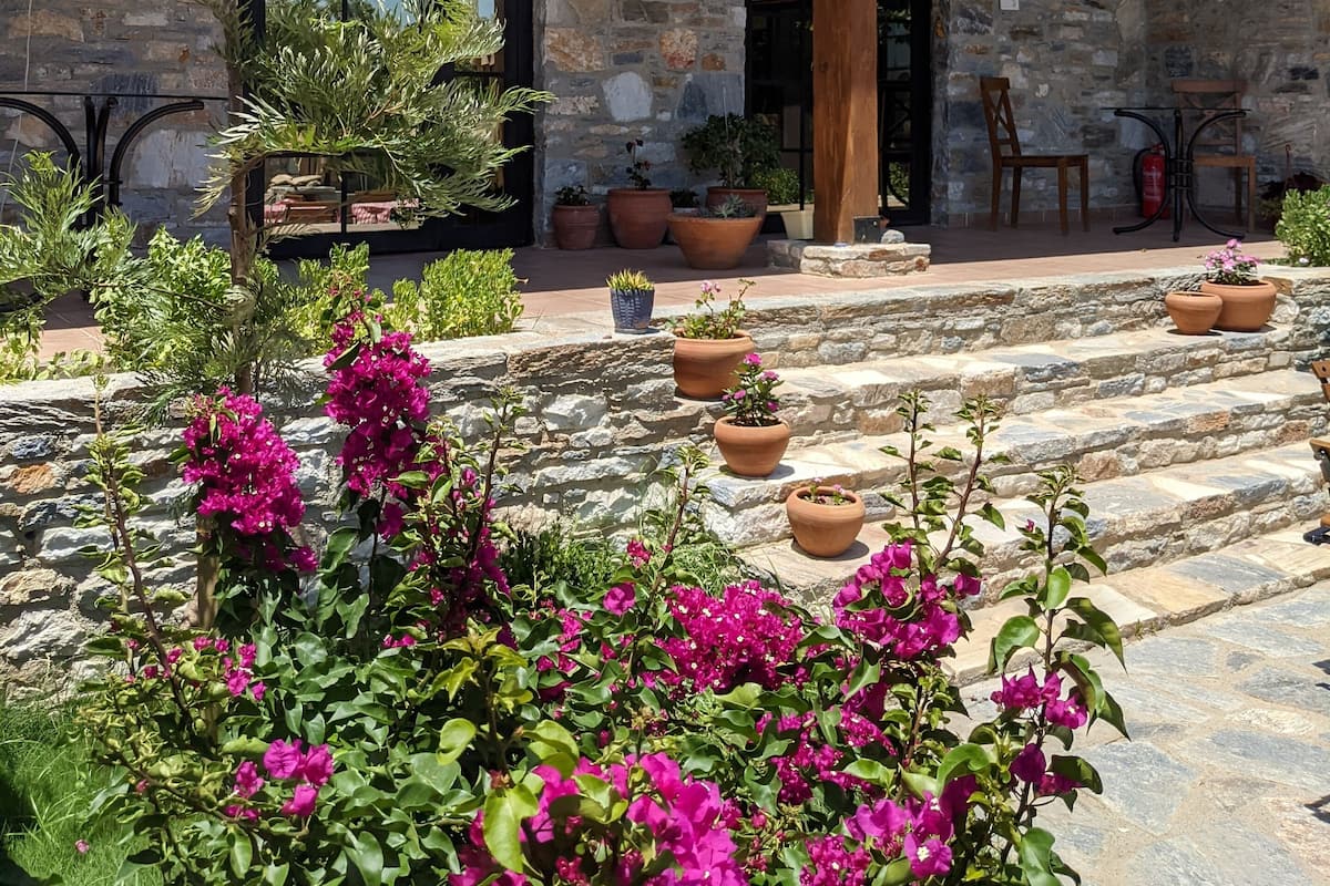 Terraza o patio