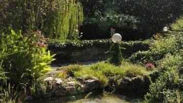 A garden with a small pond, various plants, and a weeping willow tree.