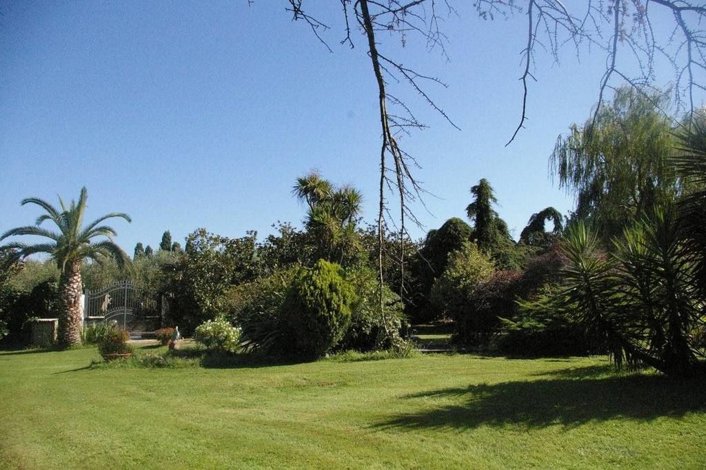 A well-maintained garden with a variety of trees and shrubs, a clear blue sky, and a metal gate.