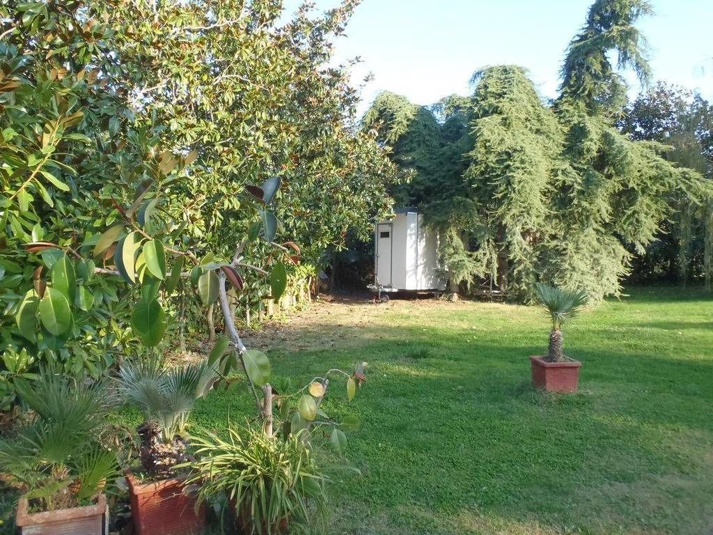 A garden with various potted plants and a small shed in the background.