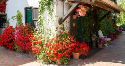 B&B Villa Sans Souci