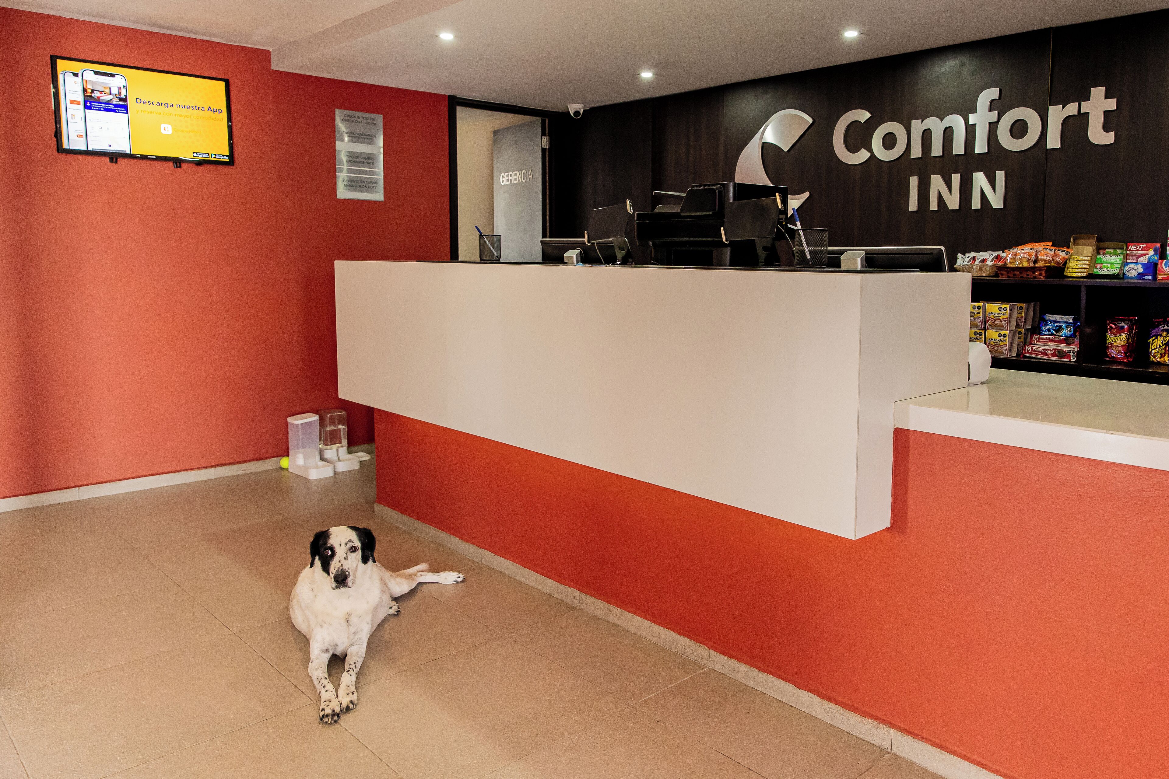 Photo - Comfort Inn San Luis Potosi