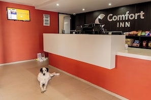 A reception area with a red and white color scheme, a digital screen, and a dog sitting on the floor. - Comfort Inn San Luis Potosi (San Luis Potosi)