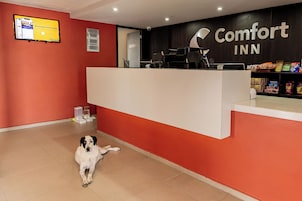 Un área de recepción con una decoración en rojo y blanco, una pantalla digital y un perro sentado en el suelo.