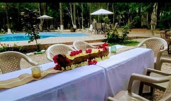 Zona de desayunos