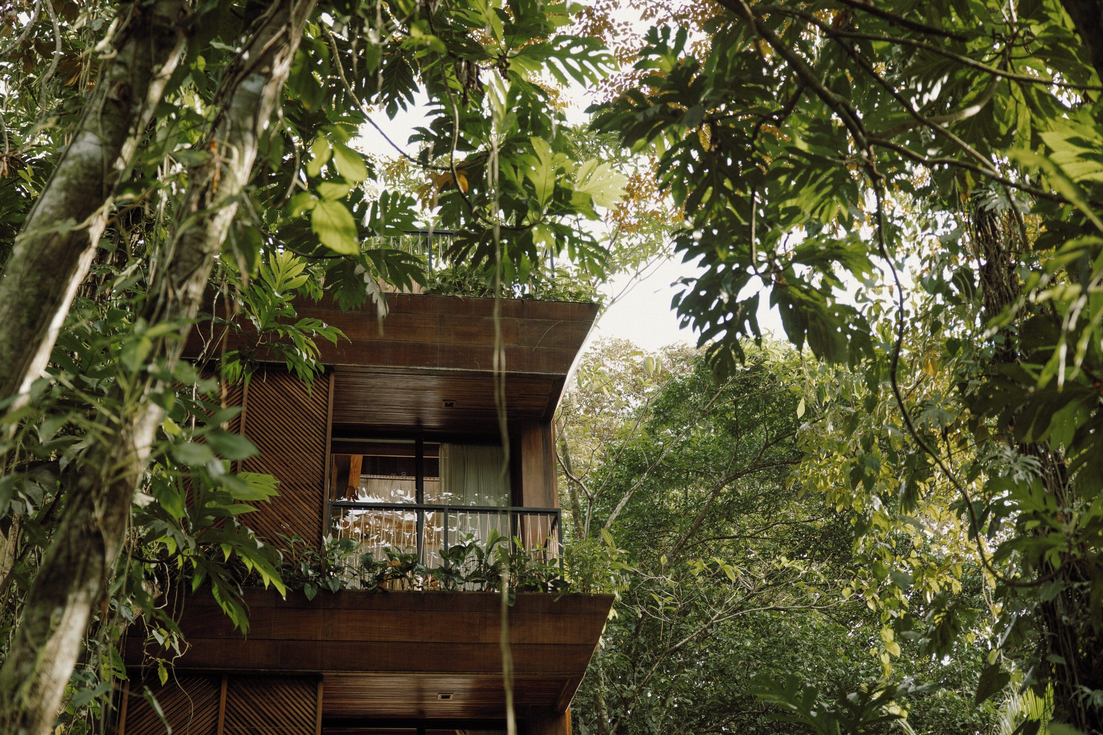 A multi-level wooden structure surrounded by dense foliage.