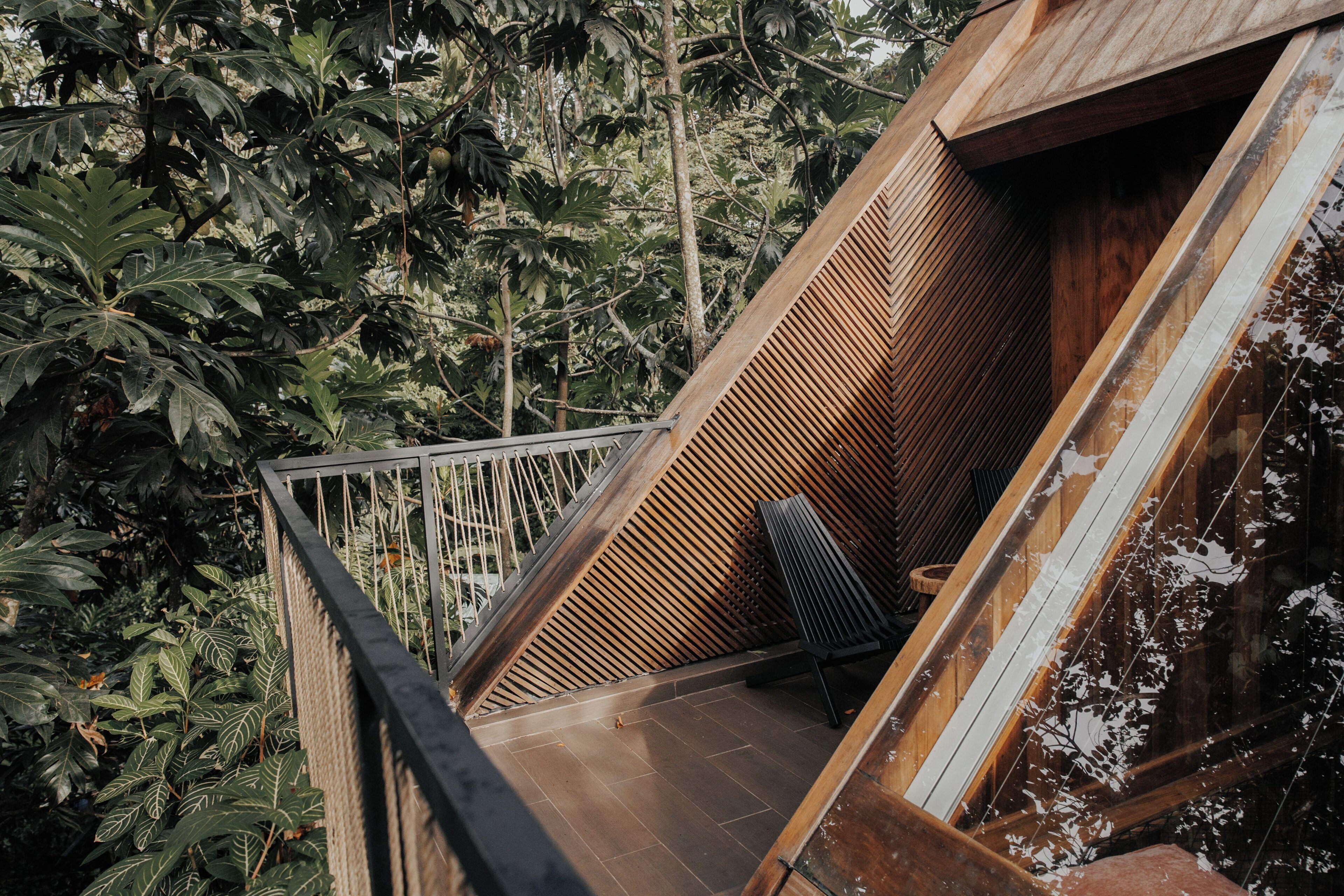 Rooftop Terrace Jungle Immersion with AC | 露台