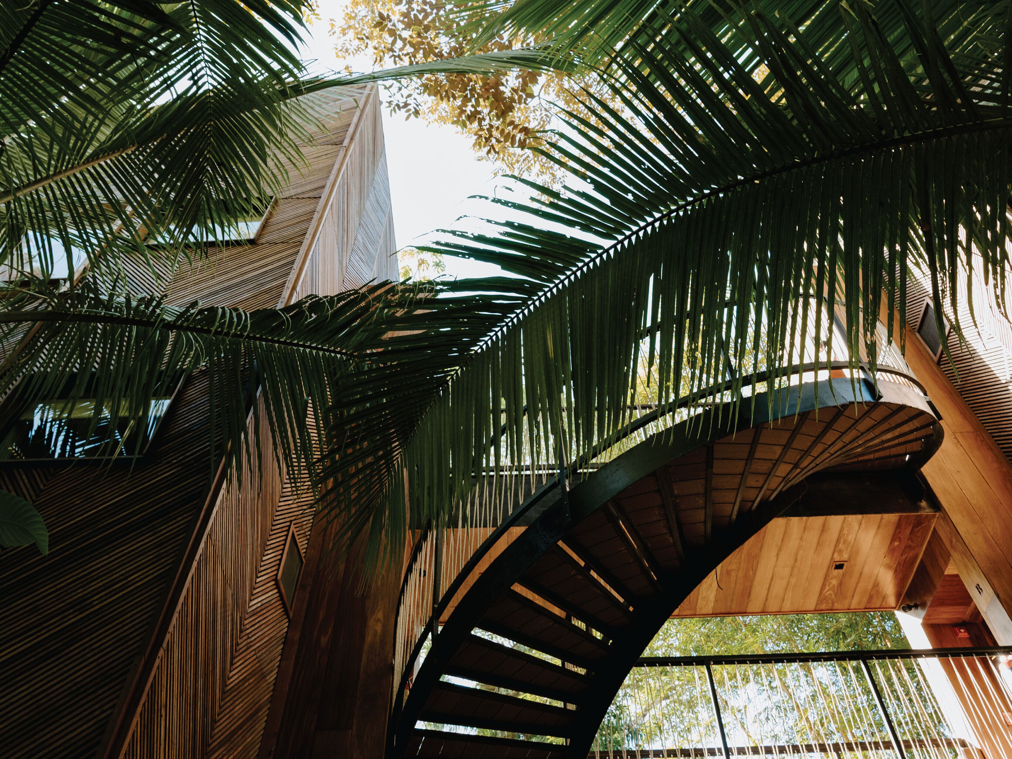 Eine moderne Architektur mit einer geschwungenen Holztreppe und überhängenden Palmenblättern.