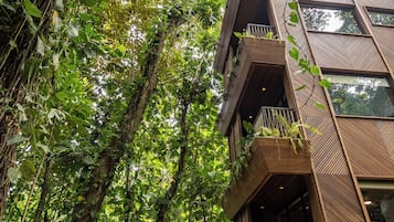 Jungle Immersion with AC | 1 hálószoba, egyedi dekoráció, egyedi berendezés és ágynemű