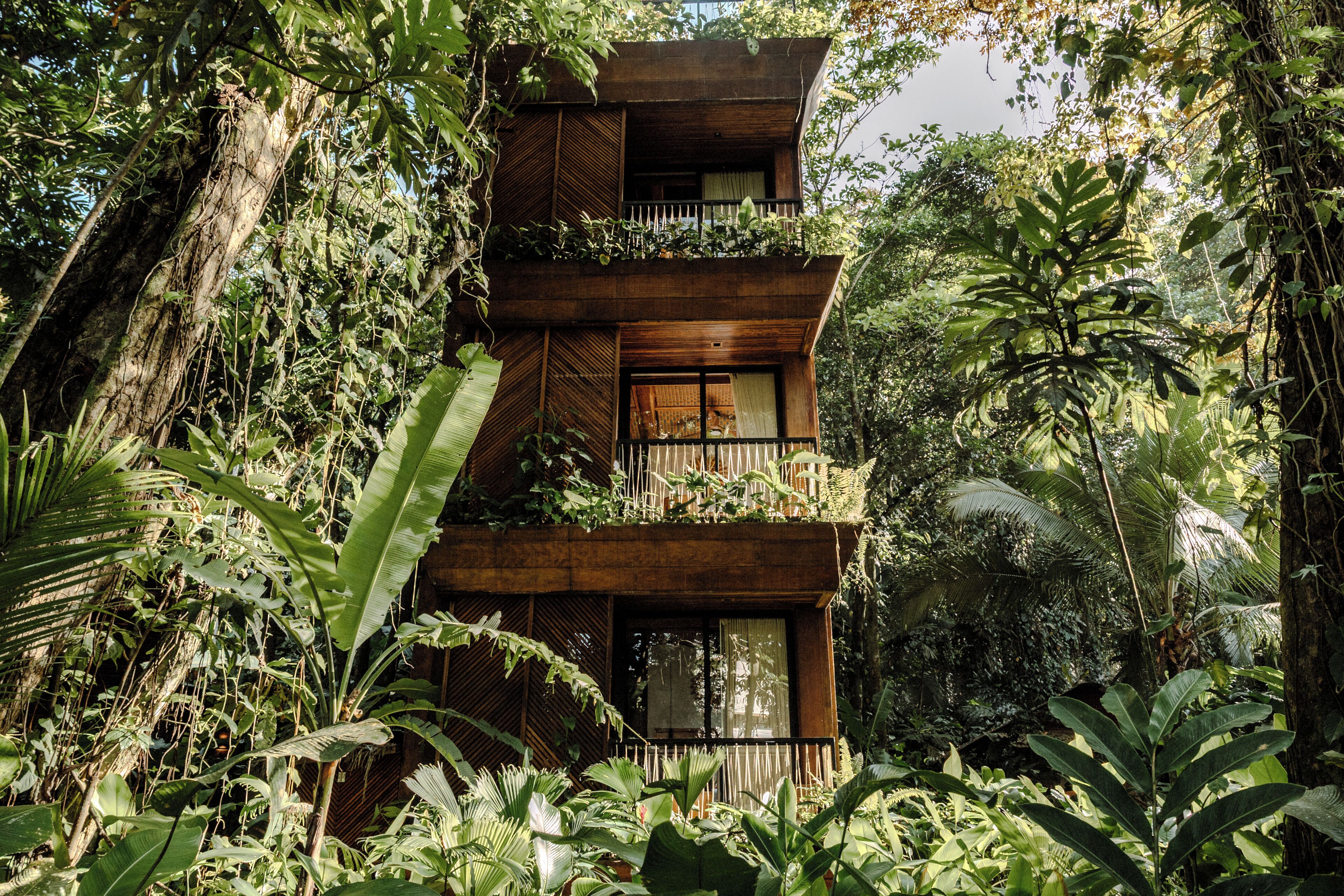 Jungle Immersion with AC | Balcon