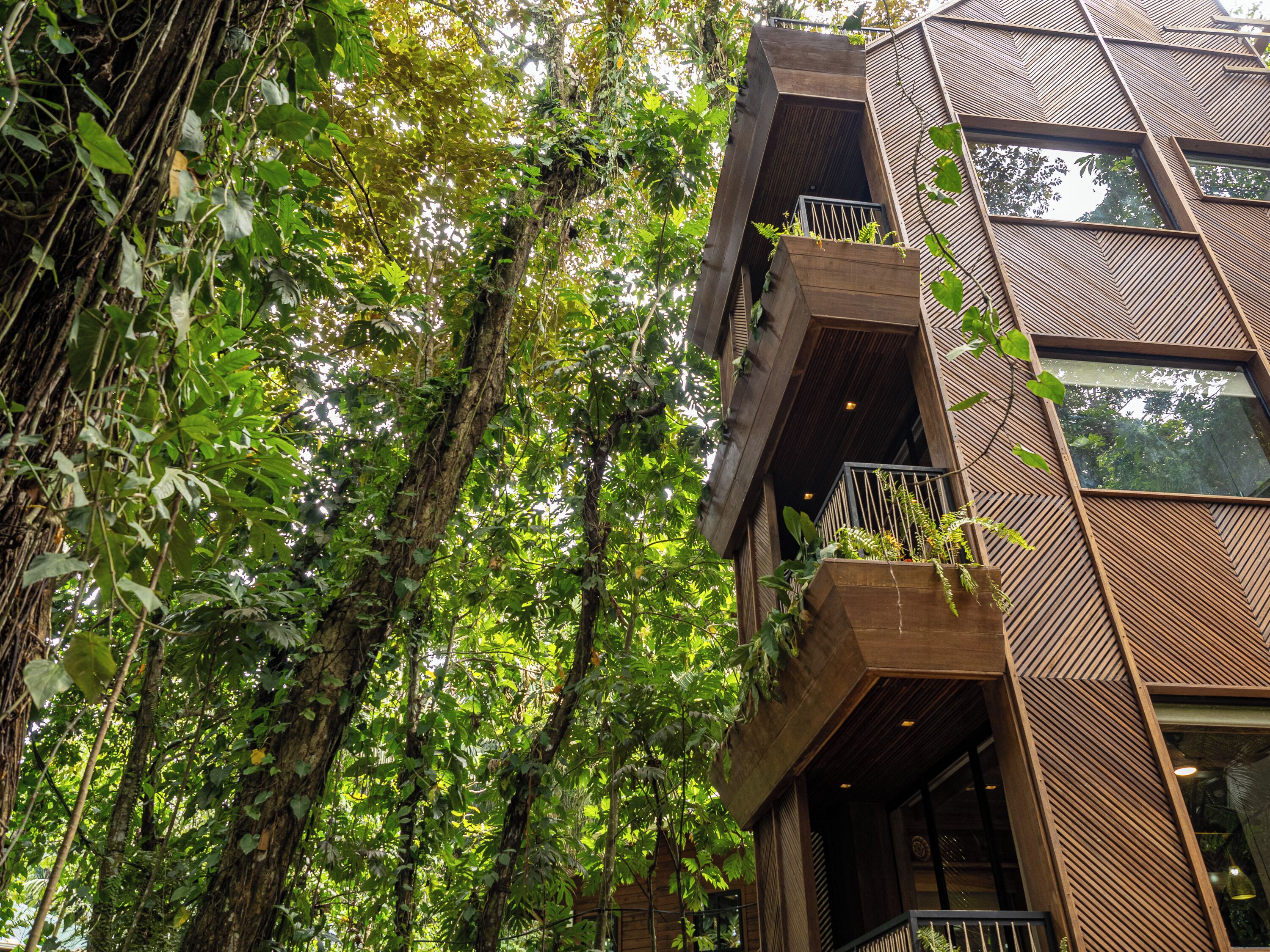 Jungle Immersion with AC | 建筑设计