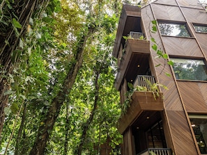 Jungle Immersion with AC | Gebäudedesign