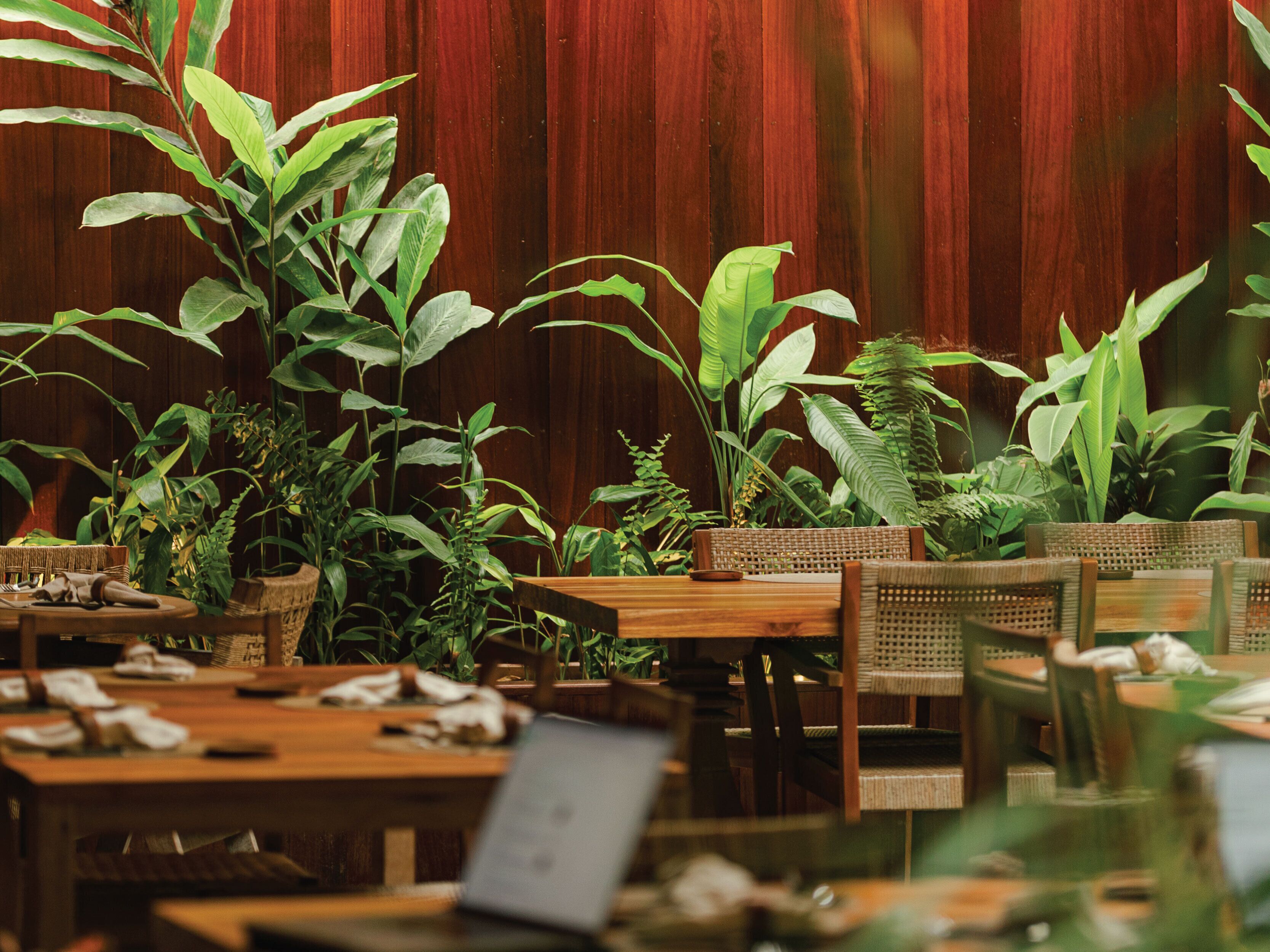 A restaurant with wooden tables and chairs, surrounded by various green plants.