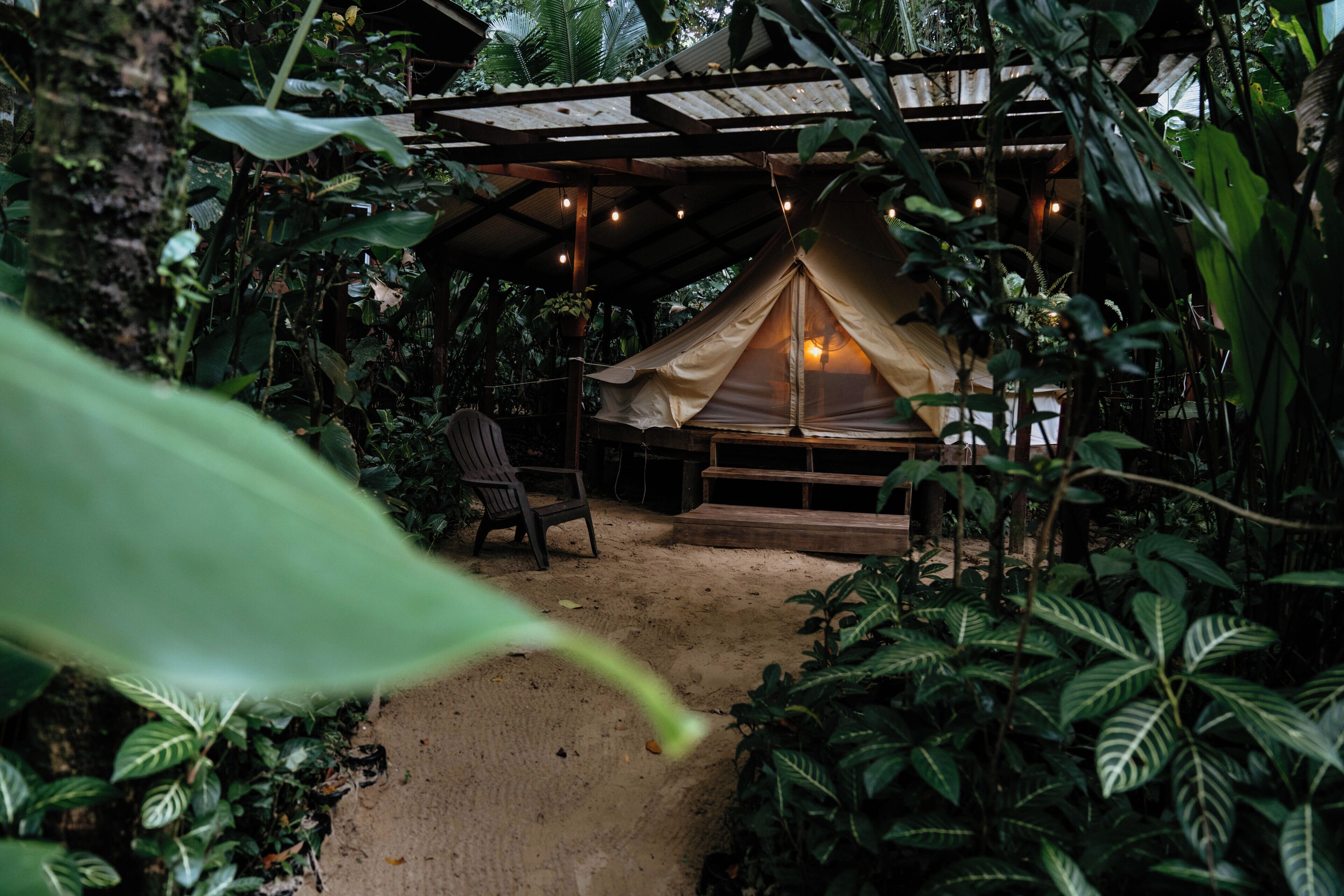 Alojamento em tenda com deck de madeira, rodeado por vegetação densa.