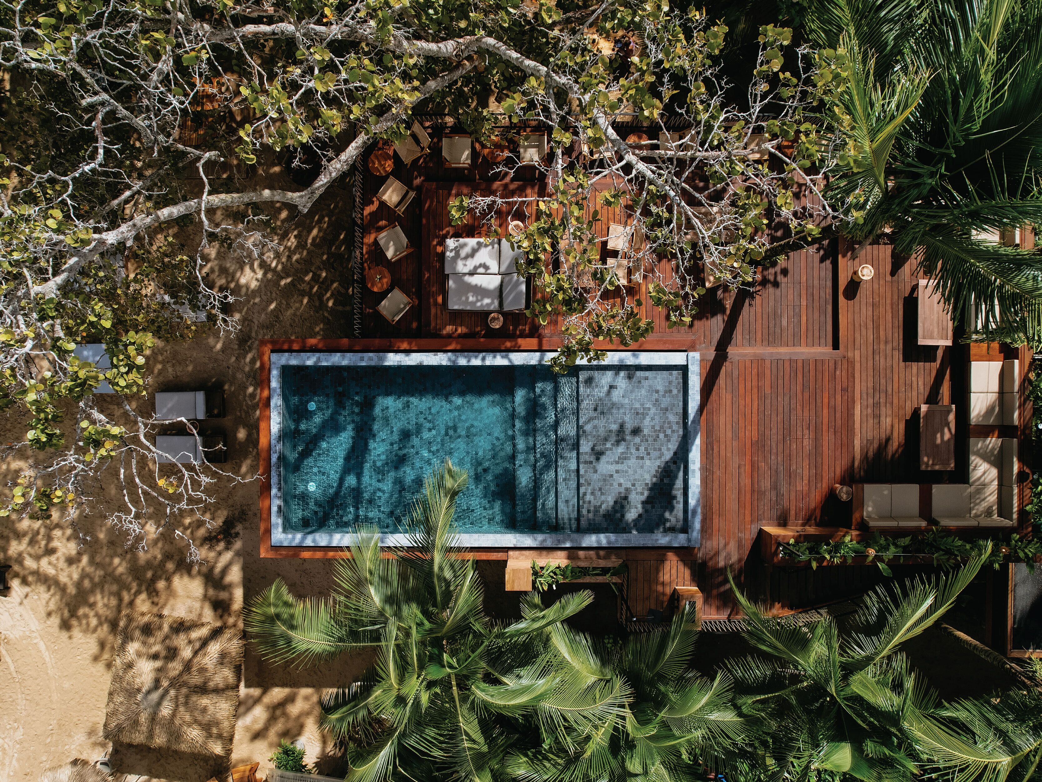 A rooftop pool with a wooden deck, surrounded by lush greenery and trees.