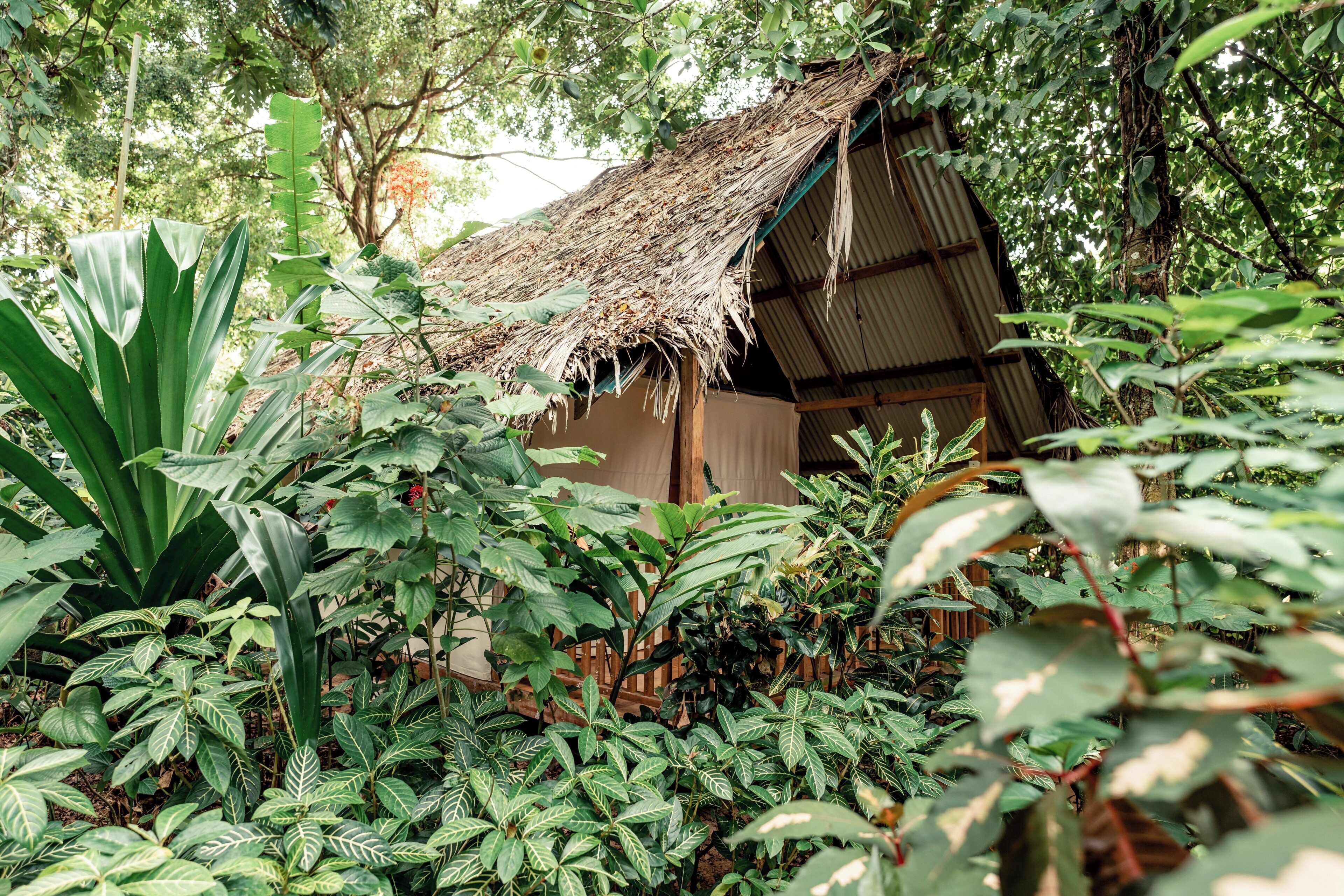 Safari Tent | Individually decorated, individually furnished, bed sheets