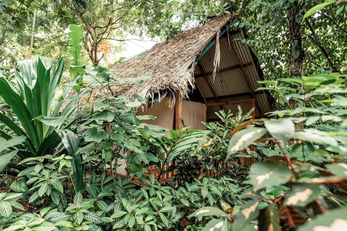 Safari Tent | Individually decorated, individually furnished, bed sheets