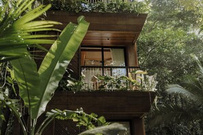 Jungle Immersion with AC | Balcón