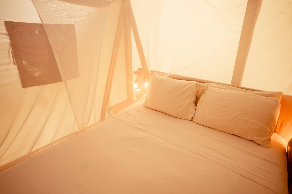Safari Tent | 1 多间卧室、特色装修、特色家居、床单