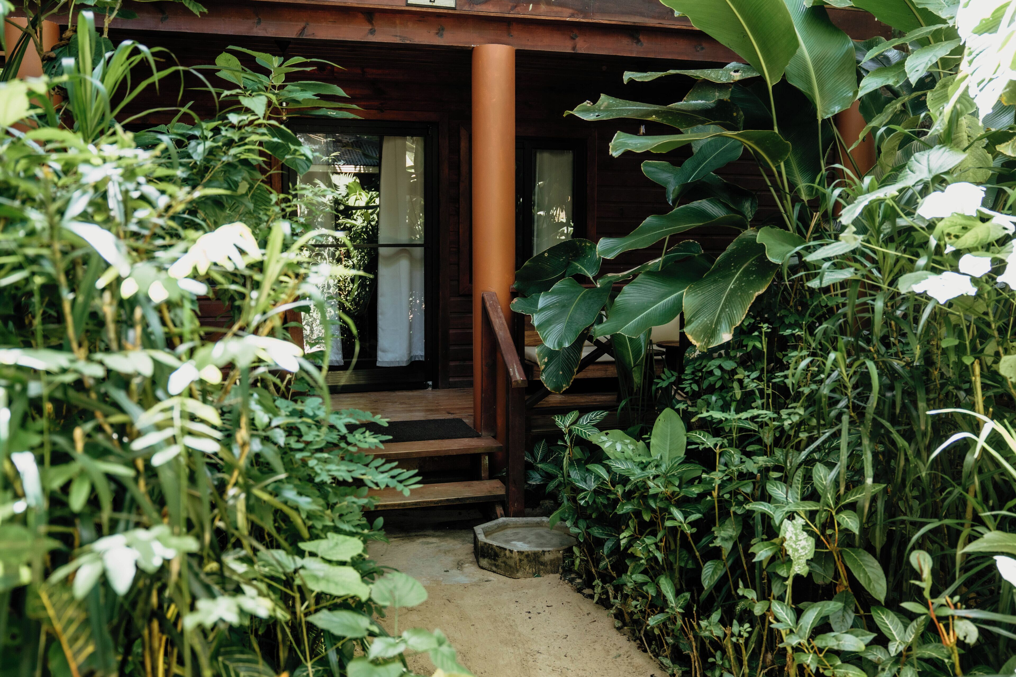 Une véranda en bois avec des marches menant à une porte, le tout entouré d’une végétation tropicale luxuriante.