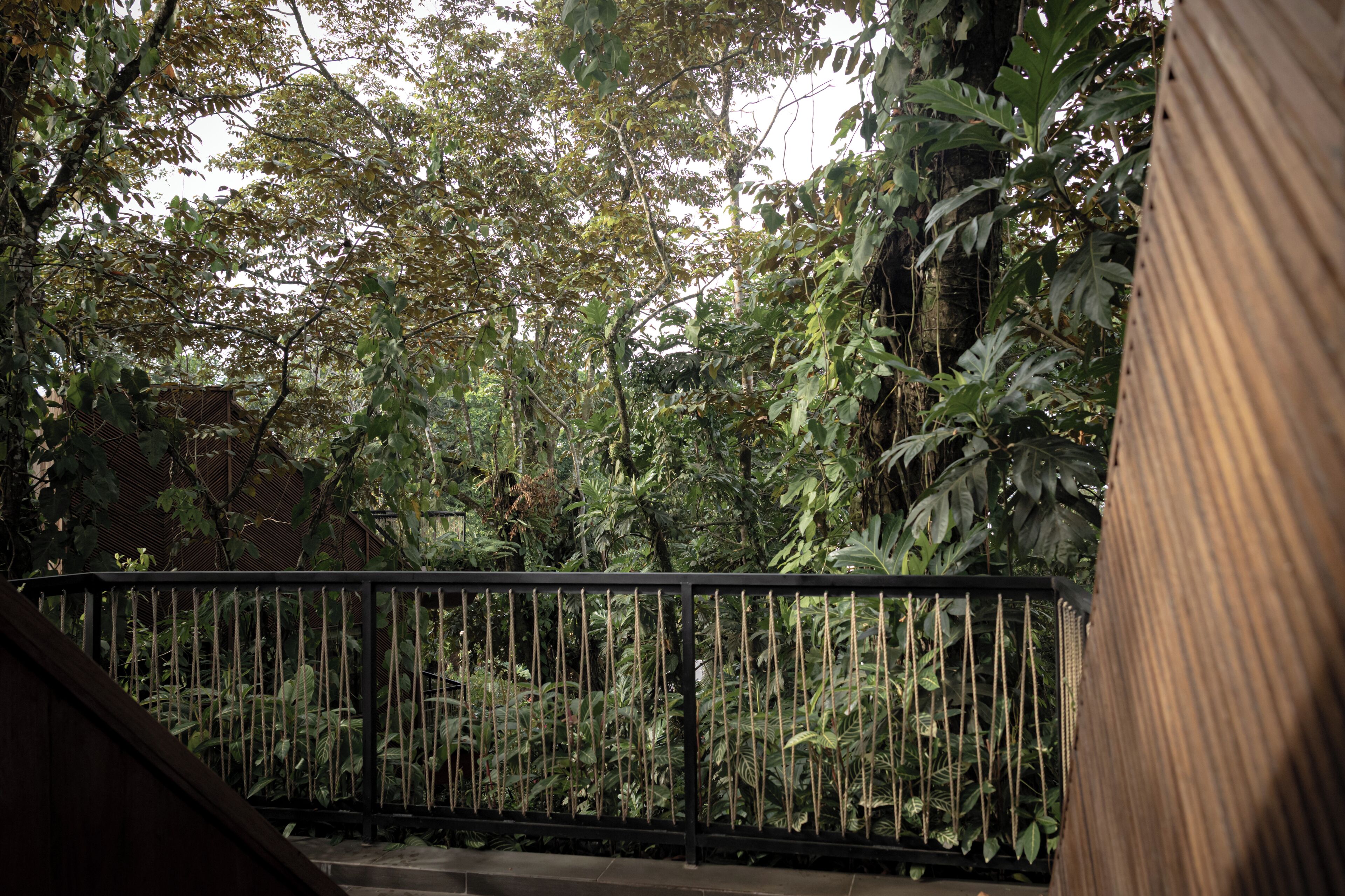 Rooftop Terrace Jungle Immersion with AC | Näkymä huoneesta