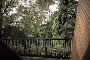 Rooftop Terrace Jungle Immersion with AC | Ausblick vom Zimmer