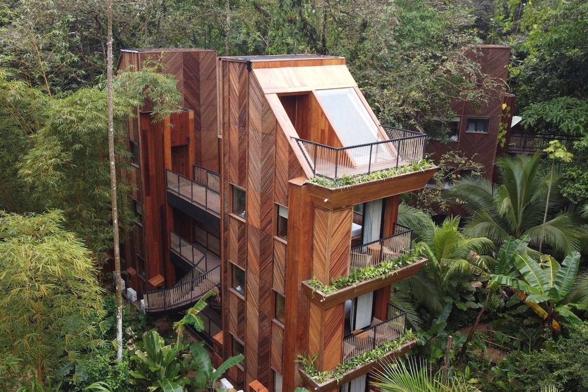 Rooftop Terrace Jungle Immersion with AC | 花园景观