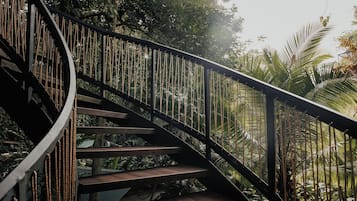 Rooftop Terrace Jungle Immersion with AC | Decoración personalizada, muebles diferentes y ropa de cama