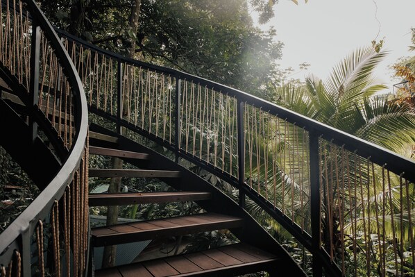 Rooftop Terrace Jungle Immersion with AC | Individually decorated, individually furnished, bed sheets