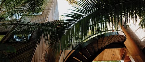 Jungle Immersion with AC | Vue sur la cour