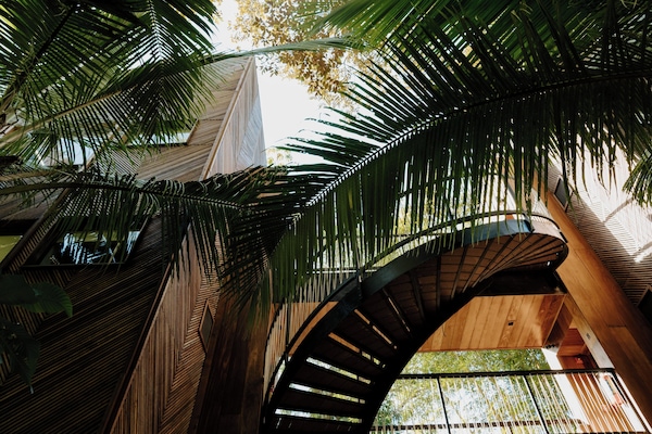 Jungle Immersion with AC | Courtyard view