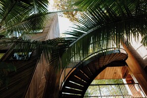 Jungle Immersion with AC | Vistas al patio