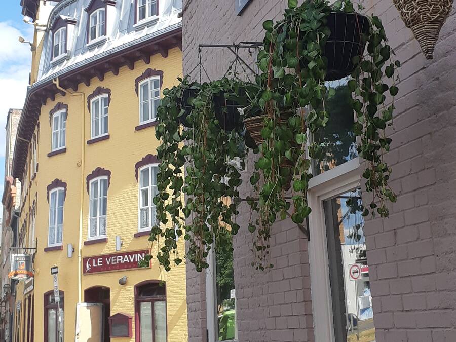 Mostrador del conserje