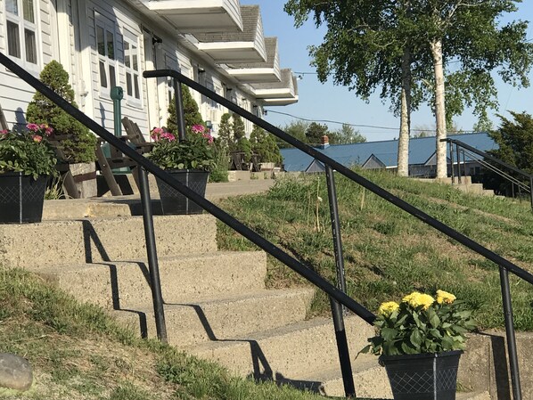 Exterior - White Birches Motel (Hancock)