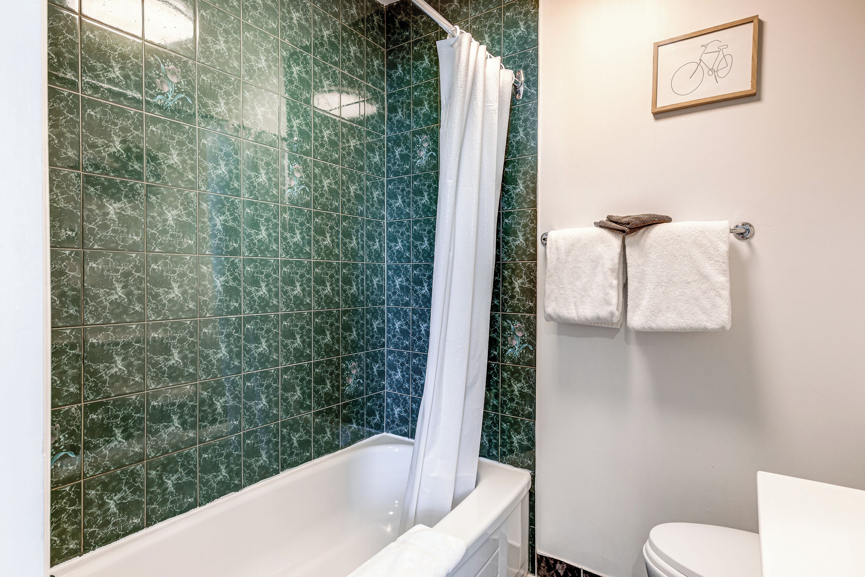 Une salle de bain avec une baignoire, des toilettes et un rideau de douche.