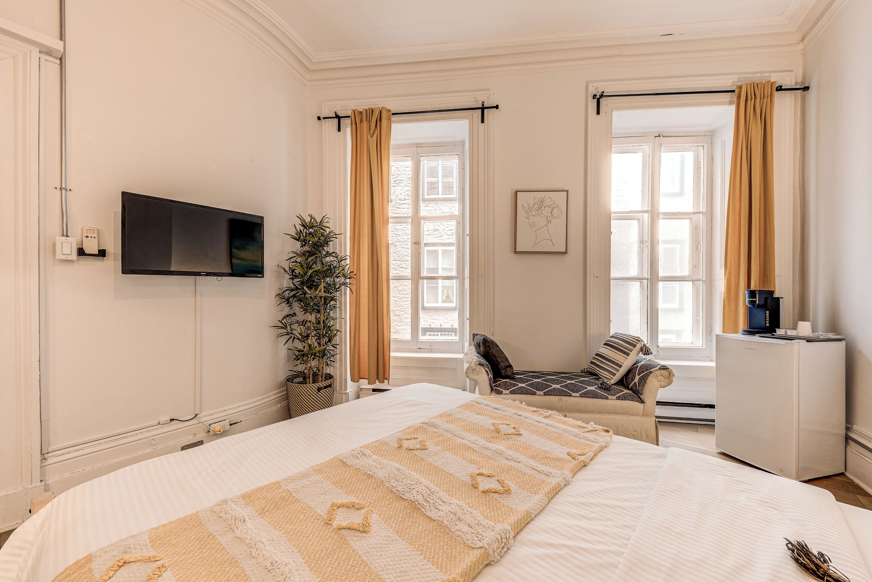 A hotel room with a large bed, a TV, a desk, a chair, and a potted plant.