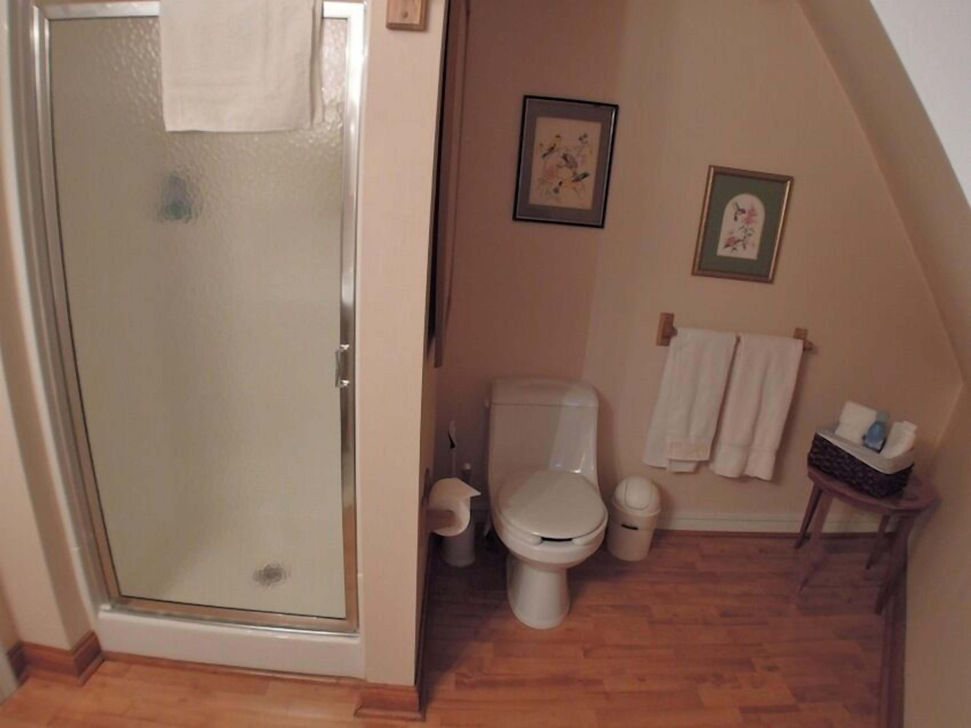 Un baño con mampara de vidrio, un inodoro y dos cuadros en la pared.