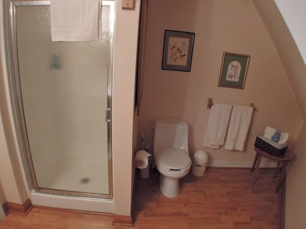 Une salle de bain avec une porte de douche en verre, des toilettes et deux tableaux encadrés au mur.