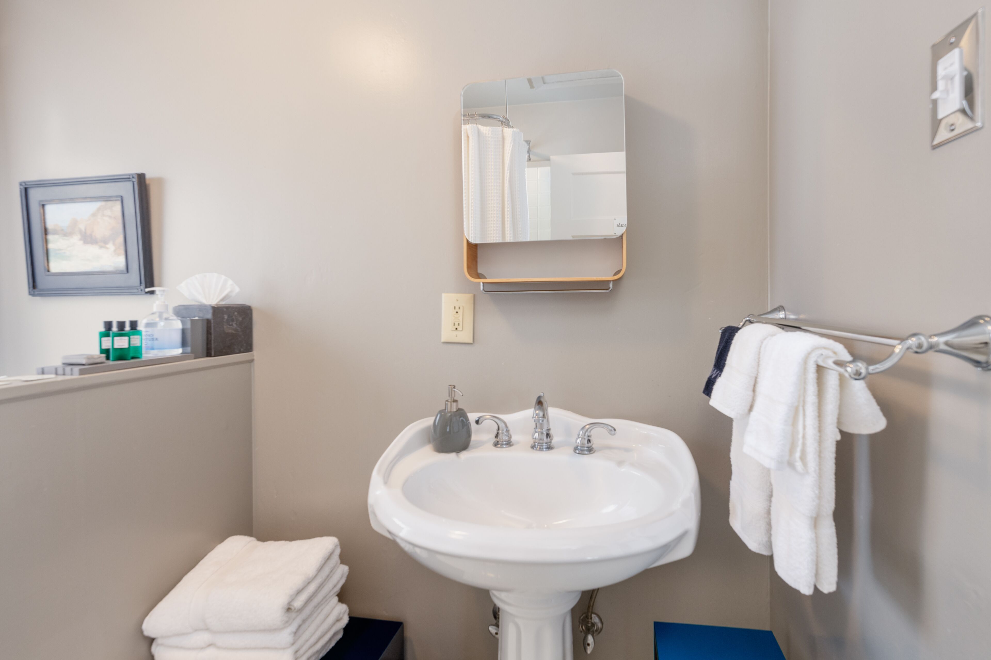 A bathroom with a white sink, a mirror, a towel rack, and a framed picture on the wall.