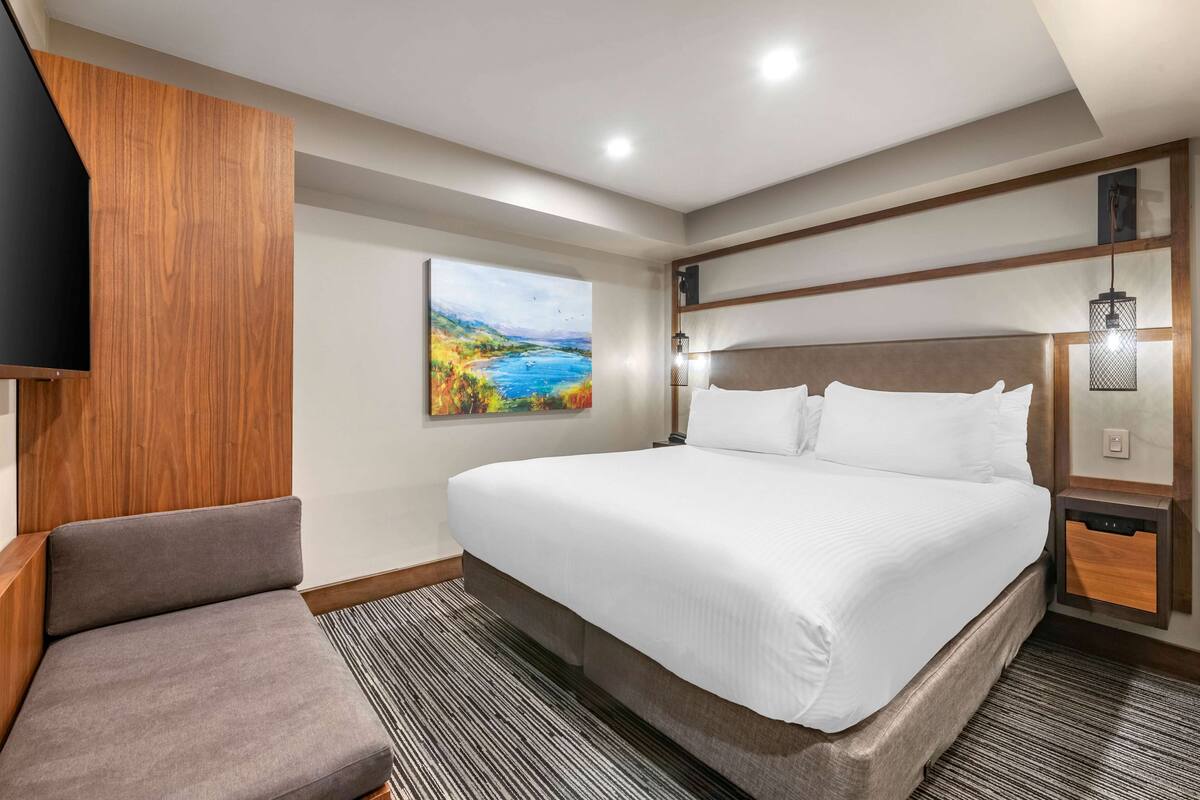 Habitación, 1 habitación | Caja fuerte, cortinas opacas, cunas gratuitas y ropa de cama